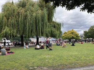 eさんがとったニュージーランドの景色10