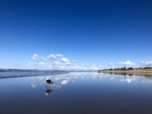 eさんがとったニュージーランドの景色5