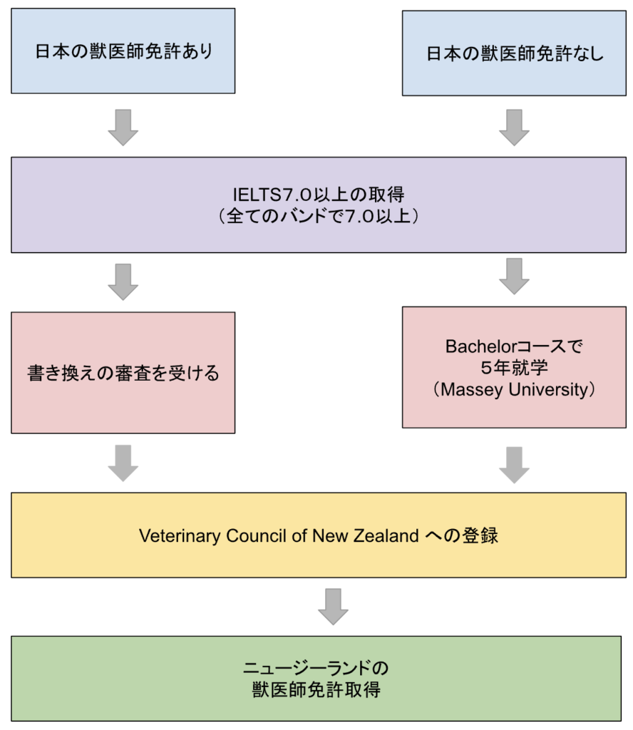 獣医になる流れ